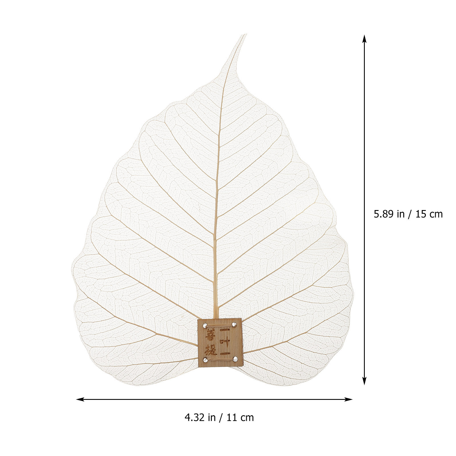 Strainer Filter Leaf Shape Fin - Home Bar Supplies 评论和价格